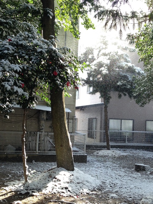 b0132389_20343041.jpg