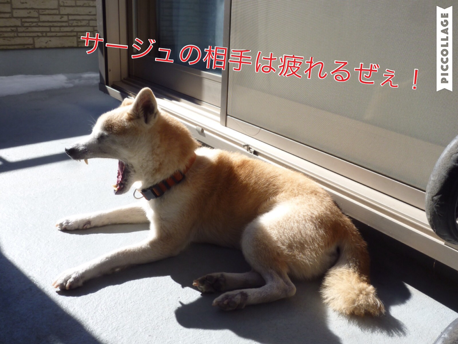 c0123890_2015025.jpg