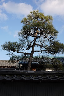 f0226293_912237.jpg