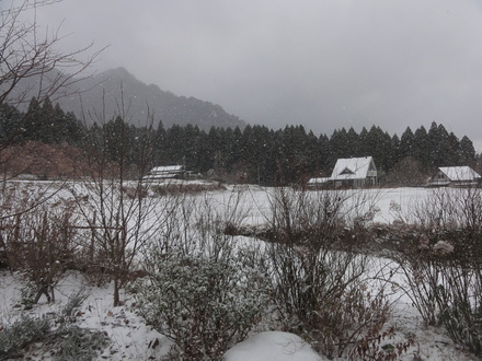 f0209394_10462960.jpg