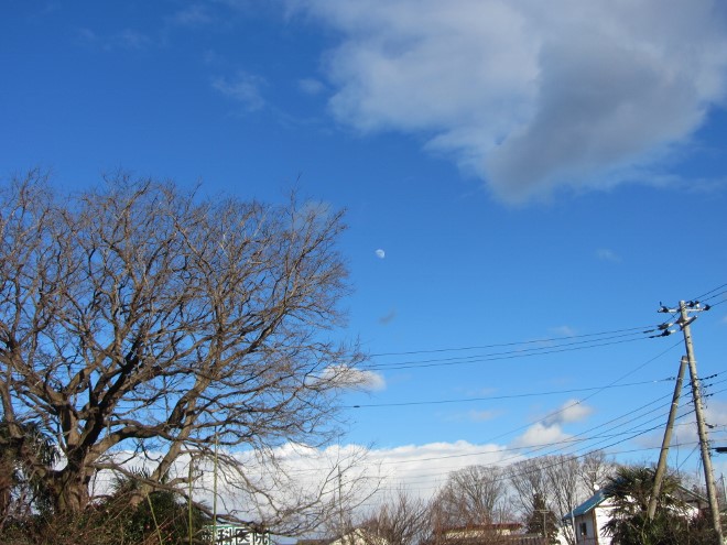 e0033301_1717675.jpg