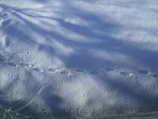 f0316507_19552899.jpg