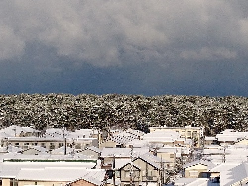c0084117_2012318.jpg