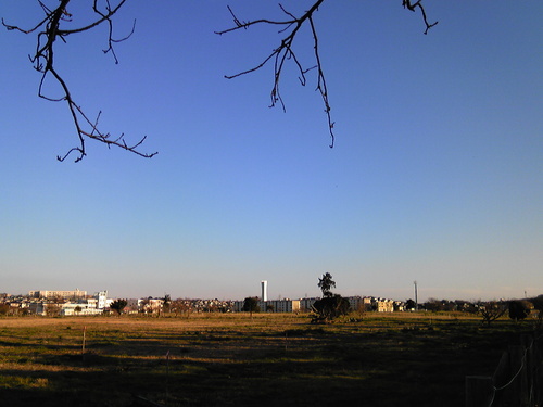 b0285619_21395881.jpg