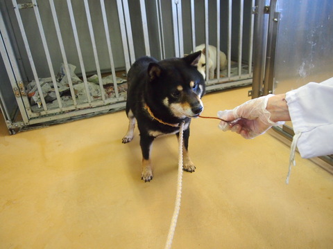 f0078320_2515879.jpg