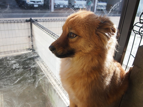 f0078320_2545100.jpg