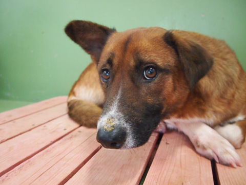 f0078320_2573783.jpg