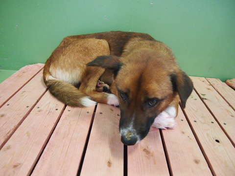 f0078320_2575796.jpg