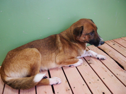 f0078320_2582279.jpg