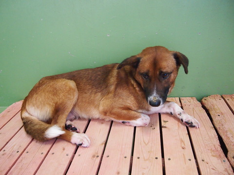 f0078320_2584017.jpg