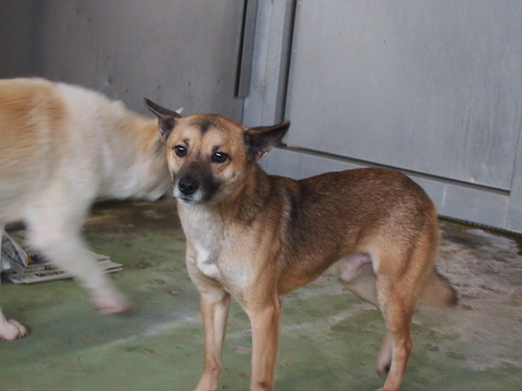 f0078320_313853.jpg