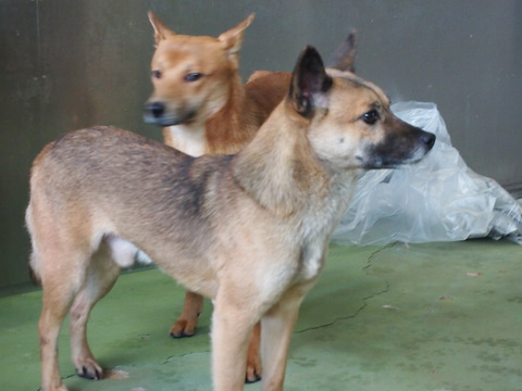 f0078320_3141541.jpg