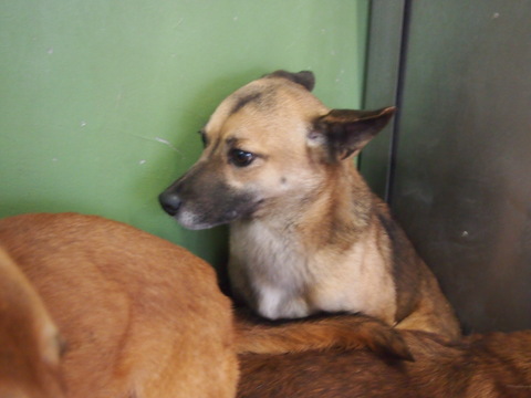 f0078320_3143966.jpg