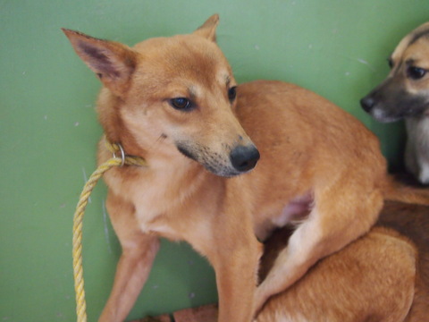 f0078320_3155170.jpg