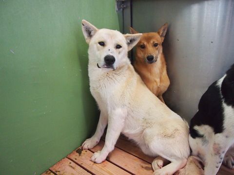 f0078320_373155.jpg
