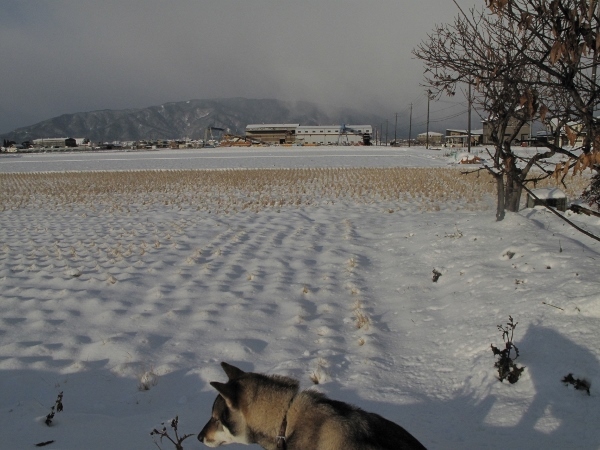 f0143123_09572068.jpg