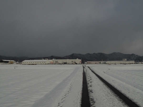 f0143123_10111790.jpg