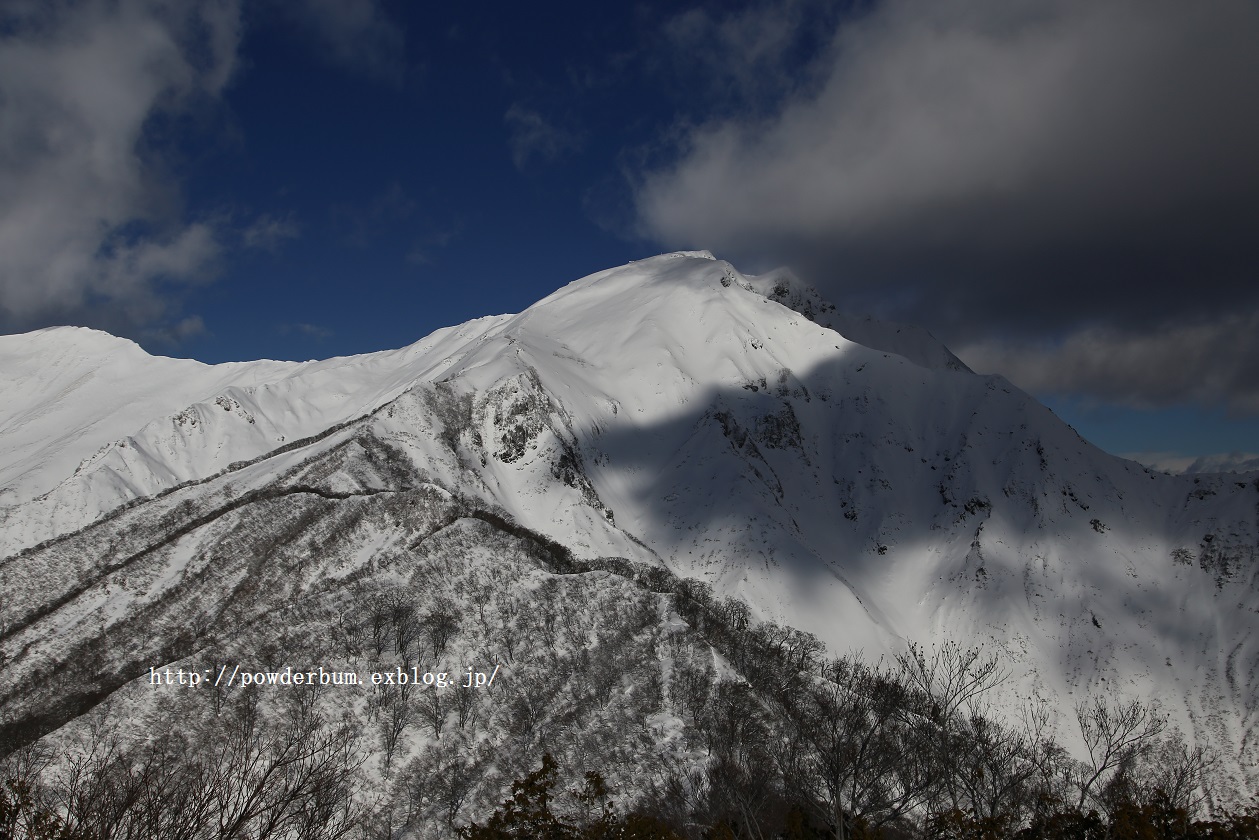 b0062024_785353.jpg