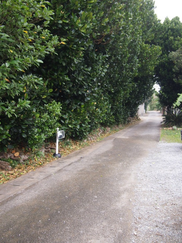 c0103830_1518597.jpg