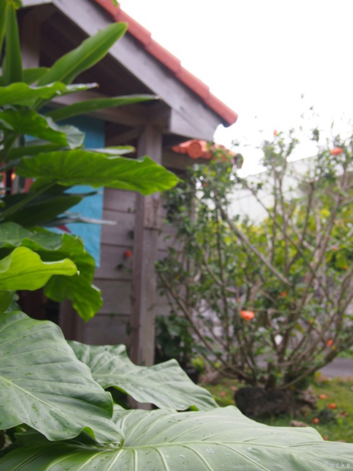 c0103830_15194157.jpg