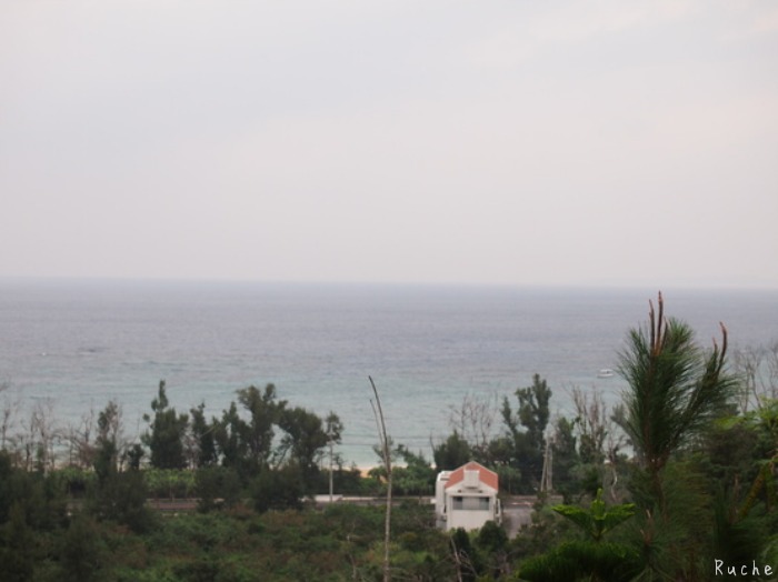 c0103830_159024.jpg