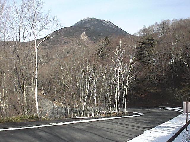 d0170835_8125778.jpg