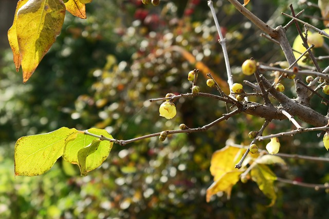 a0242438_1945982.jpg