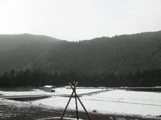 a0054948_2335865.jpg