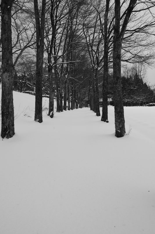 d0342652_13464382.jpg