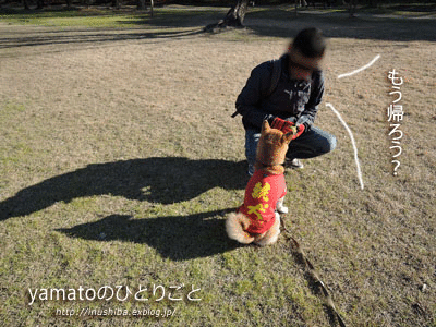 a0286855_14522641.gif