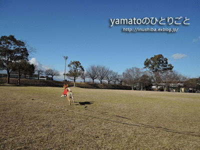 a0286855_1452654.gif