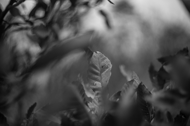 f0206356_9532969.jpg