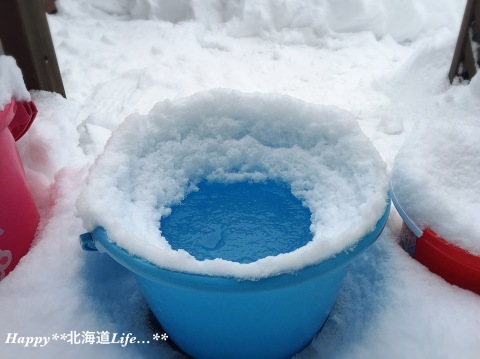 a0337860_20474234.jpeg