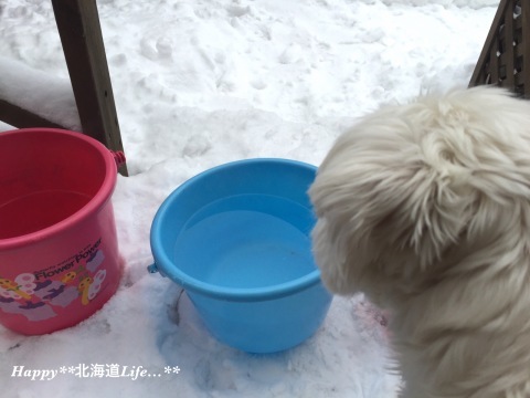 a0337860_20524456.jpeg