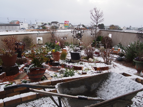 b0194267_181211.jpg