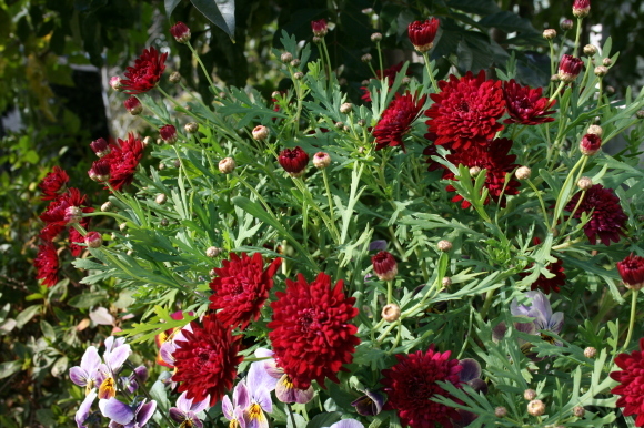 c0248269_14222774.jpg