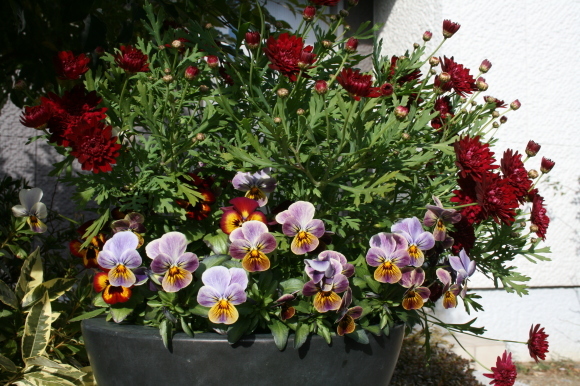 c0248269_14235268.jpg
