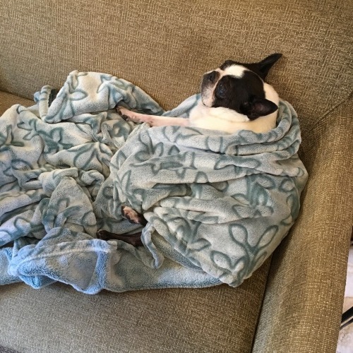 d0041575_21091747.jpeg