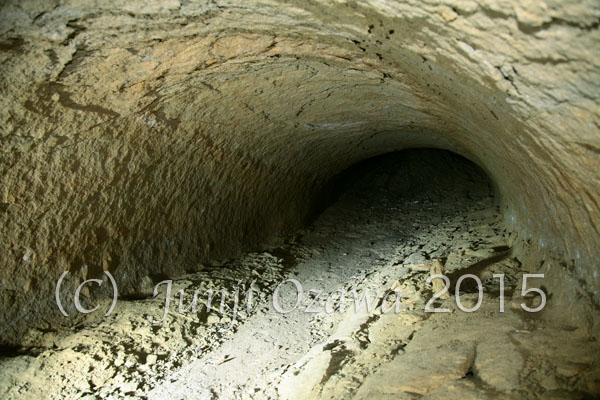 c0195281_9543111.jpg