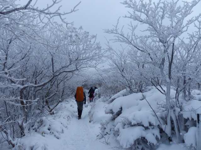 f0357487_2250653.jpg