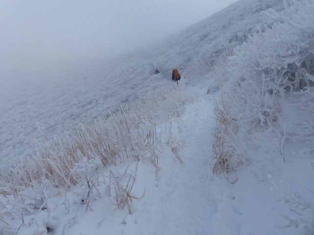 f0357487_22593935.jpg