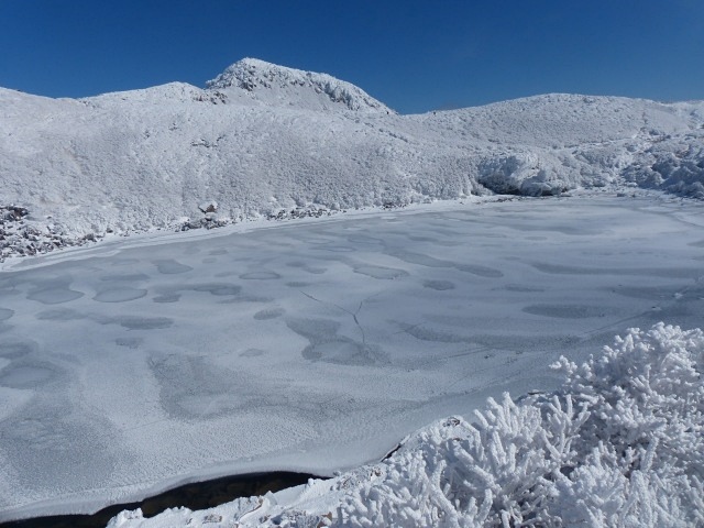 f0357487_2301113.jpg