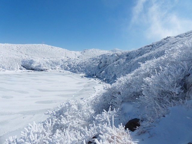 f0357487_2322364.jpg