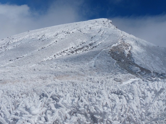 f0357487_2332631.jpg