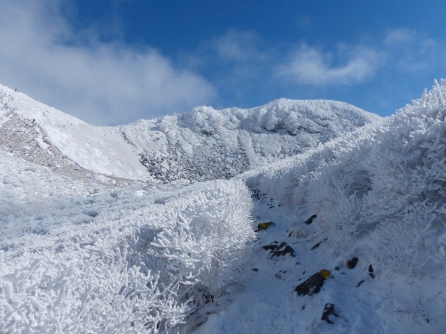 f0357487_234221.jpg
