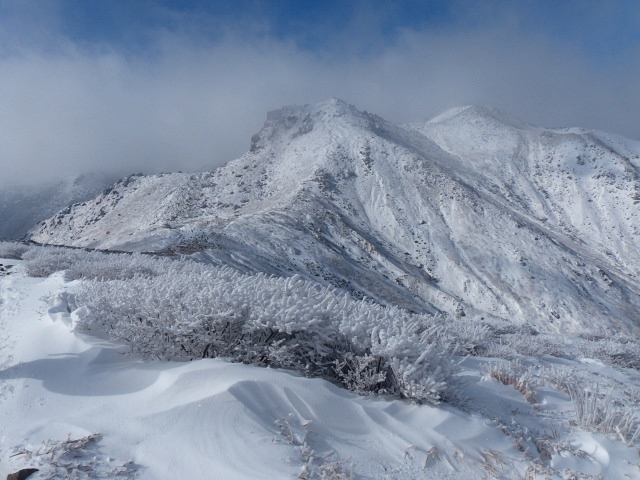 f0357487_2345443.jpg