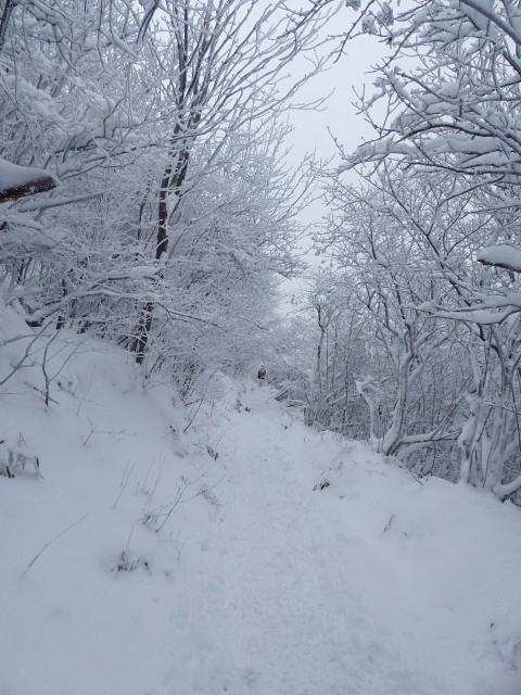f0357487_2361691.jpg