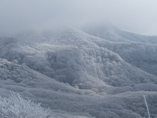 f0357487_2381547.jpg