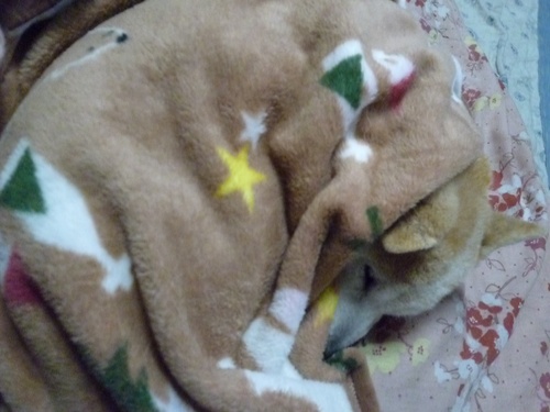 c0123890_2056238.jpg