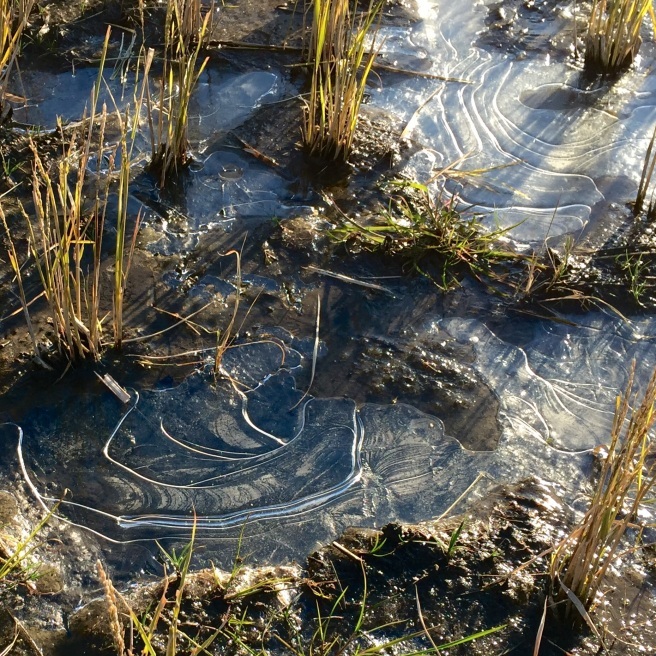 e0354593_18242793.jpg